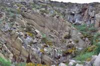 Carrière de granite montrant les diaclases géométriques (Granite de Flamanville) 